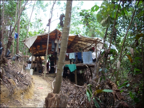 Improvised shelter